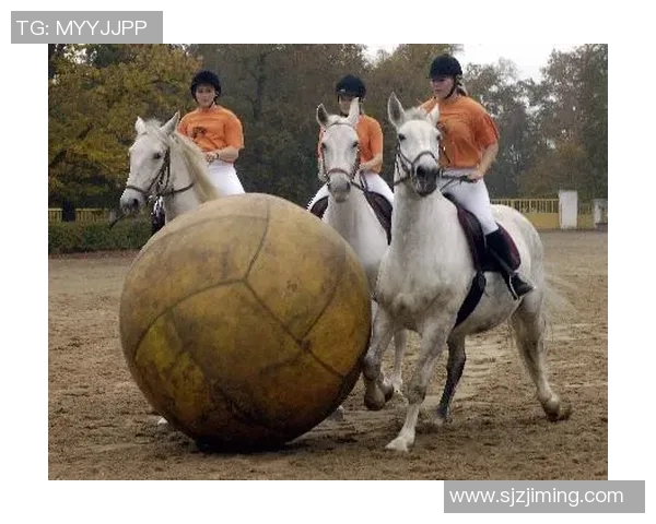 足球明星与马术的完美结合精彩瞬间大揭秘视频合集