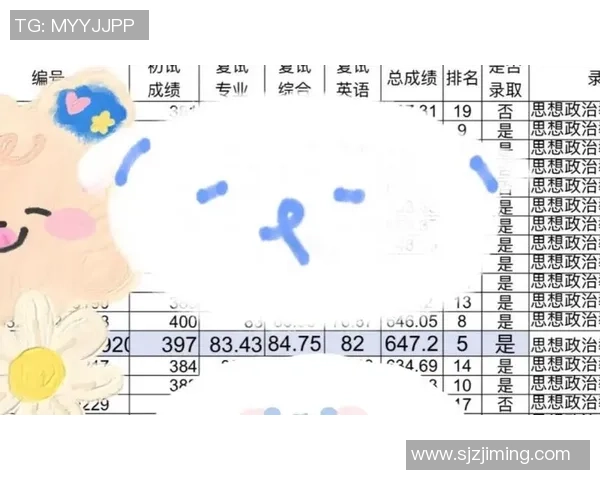 南京排球队逆袭之路欧锦赛背后的奋斗与荣耀